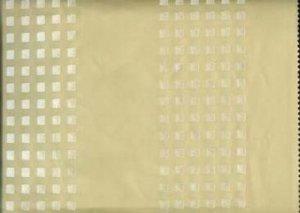 CHASE ERWIN CUBE STRIPE FABRIC